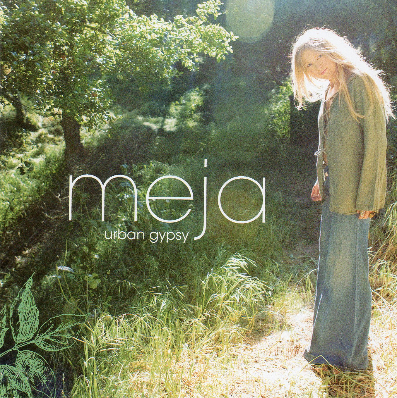 MEJA